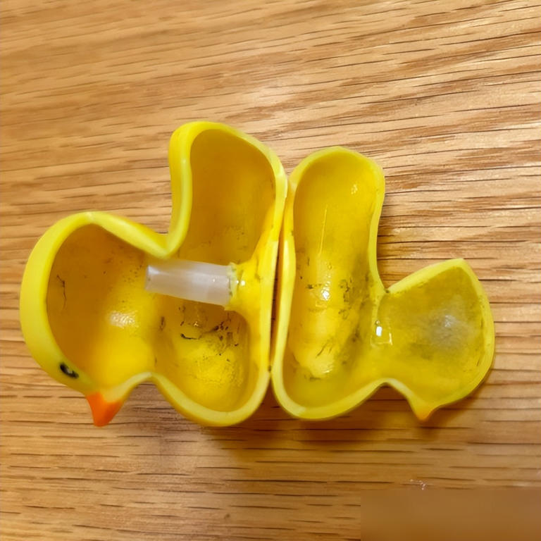 6 “ổ nấm mốc