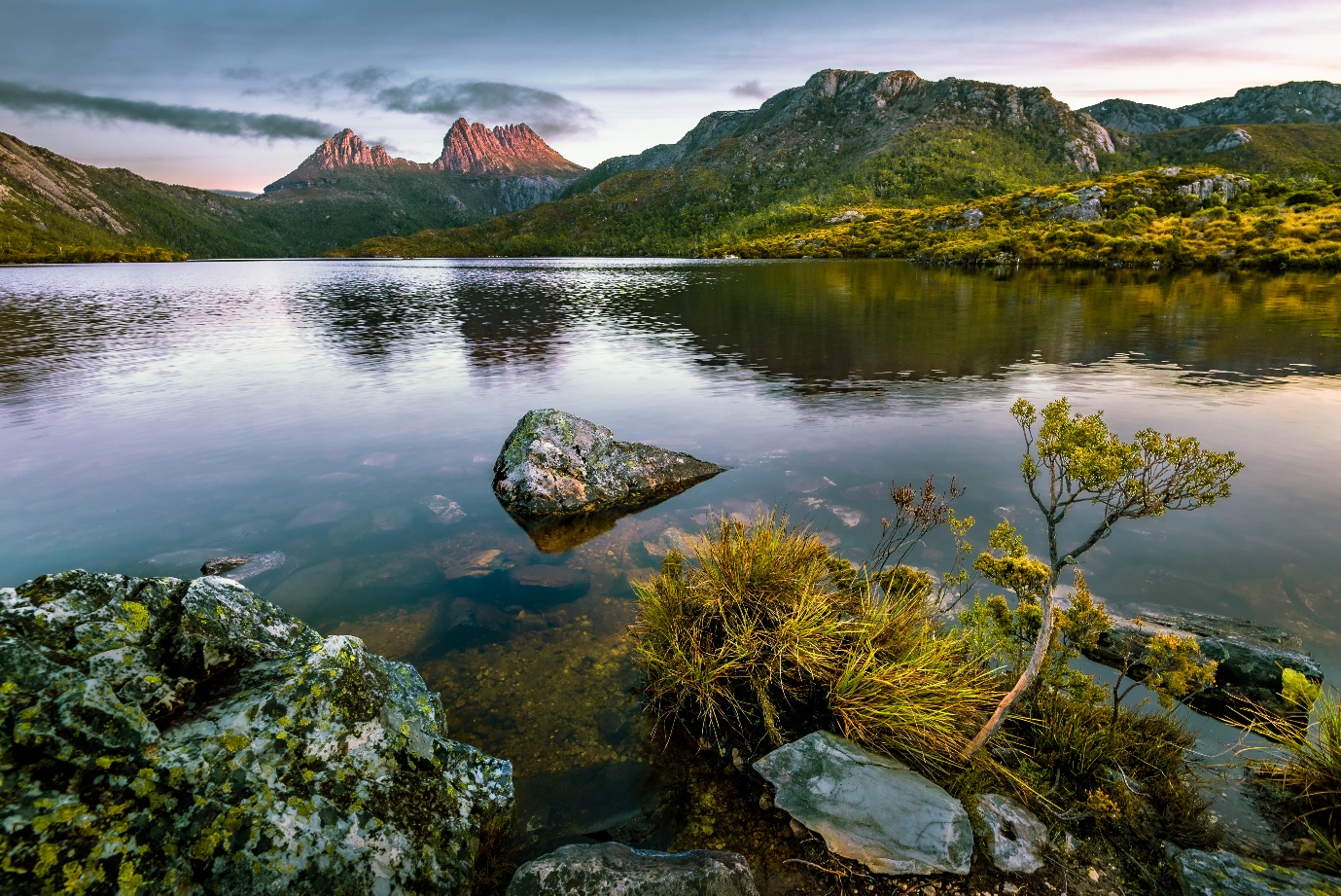 Sữa "10 không" từ Tasmania có gì mà cả nhà đều mê?- Ảnh 1. Sữa "10 không" từ Tasmania có gì mà cả nhà đều mê?- Ảnh 1.