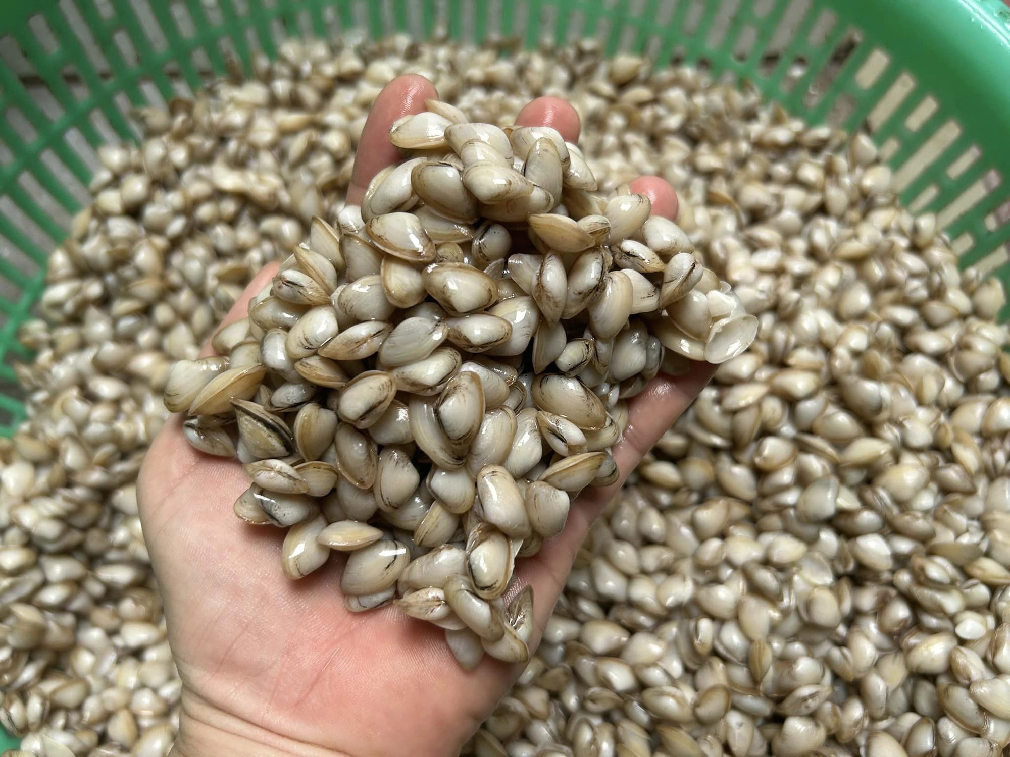 Món ăn từ loại nguyên liệu "nhà quê", làm cực dễ mà hương vị ngon nức lòng, ăn là mê- Ảnh 1.