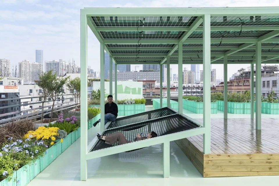 Cư d&acirc;n thu&ecirc; 1m&sup2; s&acirc;n thượng để trồng rau: Xu hướng &ldquo;n&ocirc;ng d&acirc;n đ&ocirc; thị&rdquo; gi&uacute;p tiết kiệm tiền ăn v&agrave; sống xanh giữa th&agrave;nh phố b&ecirc; t&ocirc;ng- Ảnh 7.