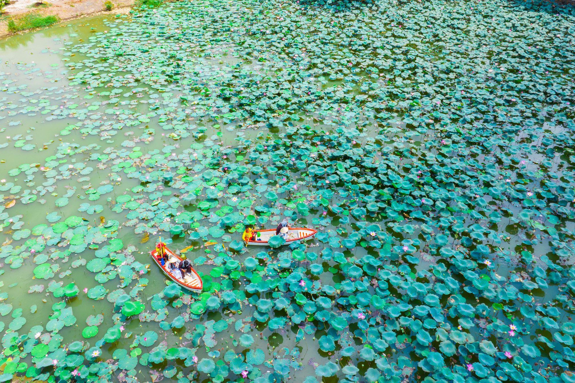 Th&agrave;nh phố Du lịch Sơn Ti&ecirc;n &ndash; T&acirc;m điểm tăng trưởng mới của du lịch sinh th&aacute;i ph&iacute;a Nam- Ảnh 2.