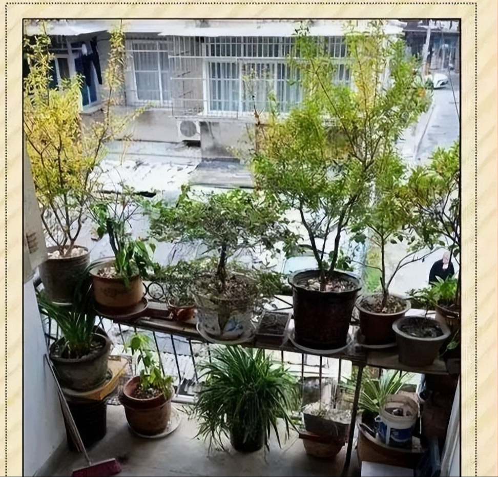 B&aacute;n căn hộ sang, t&ocirc;i về ở tầng trệt khu phố cũ sau 20 năm: C&aacute;i gi&aacute; thật sự của "nh&agrave; cao - tiện nghi" khiến t&ocirc;i tỉnh ra- Ảnh 2.