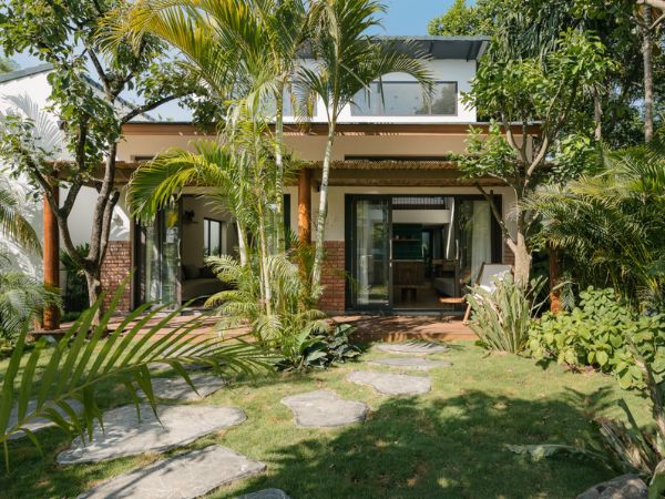 6 loại cây được người xưa khuyên nên trồng vào đầu năm để cầu công danh, tài lộc- Ảnh 1. 6 loại cây được người xưa khuyên nên trồng vào đầu năm để cầu công danh, tài lộc- Ảnh 1.