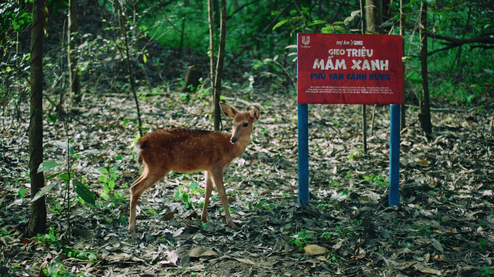 C&ugrave;ng OMO gieo triệu mầm xanh: 5 năm tạo n&ecirc;n diệu kỳ từ triệu đ&ocirc;i tay lấm bẩn- Ảnh 3.