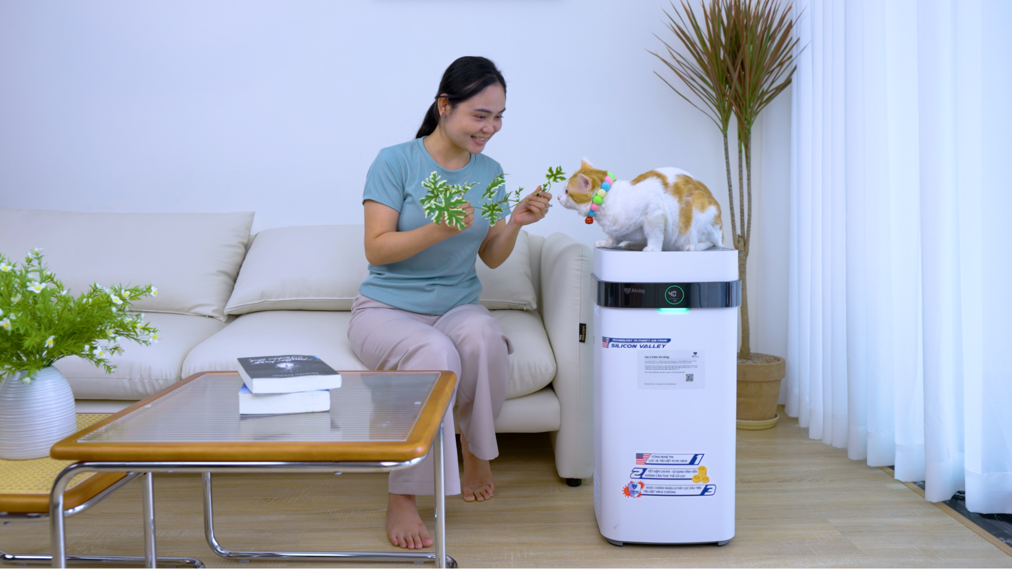 Giải ph&aacute;p bảo vệ sức khỏe khi &ocirc; nhiễm kh&ocirc;ng kh&iacute; gia tăng ở H&agrave; Nội v&agrave; TP. Hồ Ch&iacute; Minh- Ảnh 2.