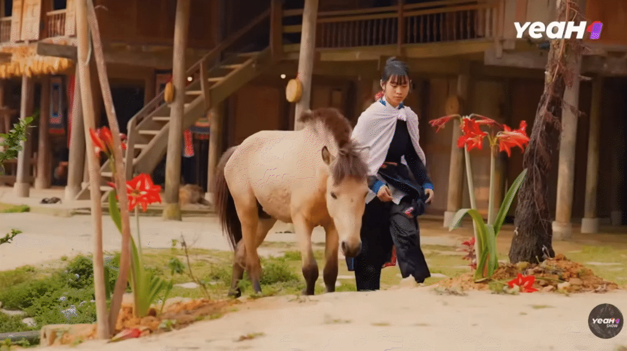 Bé Thư - con gái chị Thông: Khoảnh khắc Bé Thư - con gái chị Thông: Khoảnh khắc