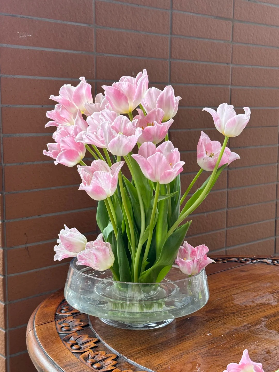 Đừng chỉ cắm lay ơn hay thược dược, Tết này thử ngay loài hoa "đổi màu" diệu kỳ: Ban đầu trắng muốt, càng ngắm càng ra tiền!- Ảnh 9.