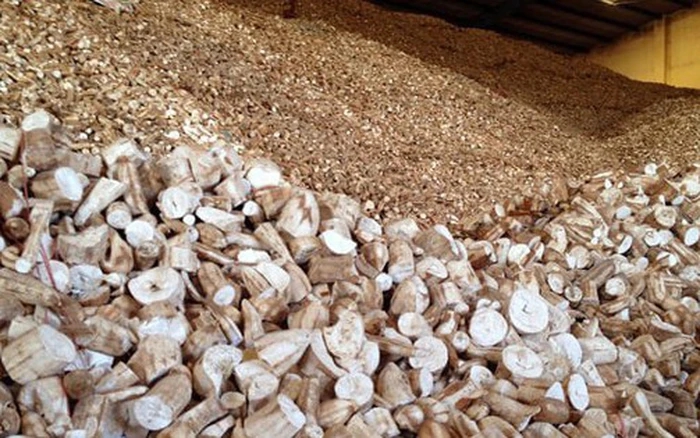 Sản vật được v&iacute; như "v&agrave;ng trắng" dưới l&ograve;ng đất hơn tỷ USD của Việt Nam xuất khẩu top 3 thế giới đang gặp kh&oacute;- Ảnh 1.