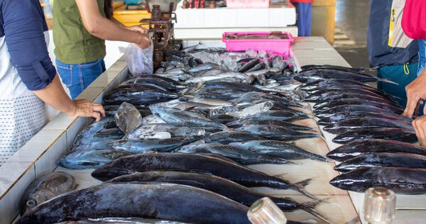 Bảo quản hải sản sai c&aacute;ch dễ g&acirc;y ngộ độc: FDA cảnh b&aacute;o 3 loại c&aacute; nguy hiểm nhất- Ảnh 1.