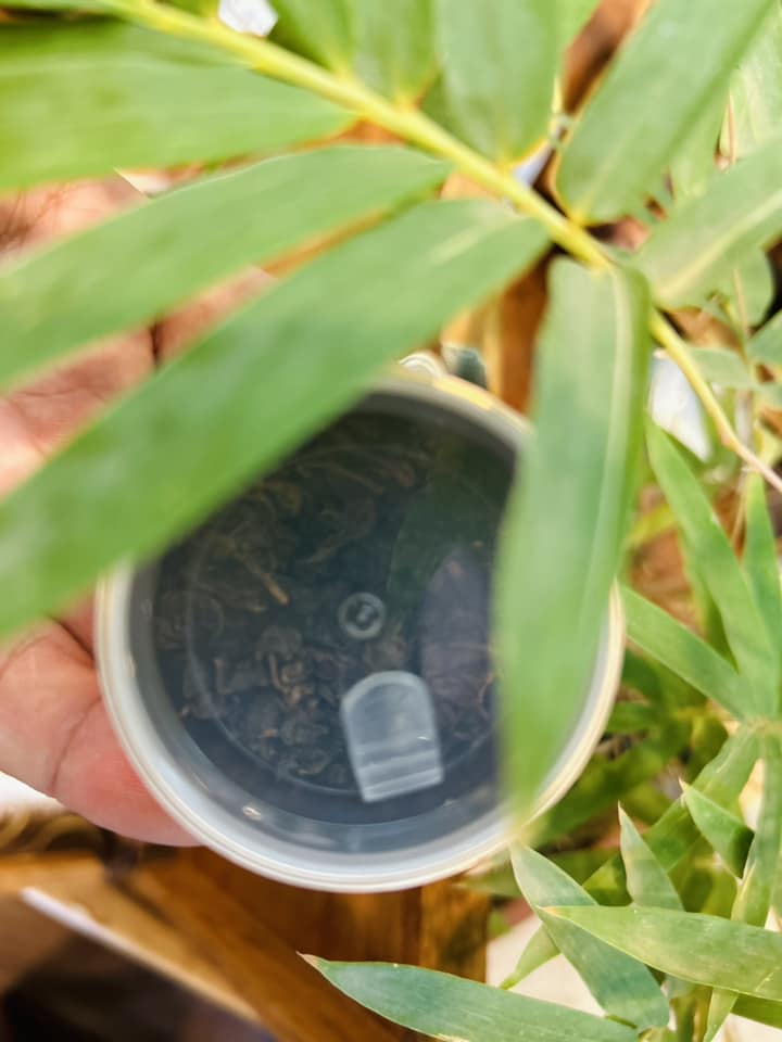 Địa phương miền n&uacute;i của Việt Nam c&oacute; ch&egrave; ngon nức tiếng, gi&aacute; tr&ecirc;n 100 triệu đồng/kg- Ảnh 5.