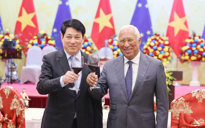 Tổng B&iacute; thư T&ocirc; L&acirc;m tiếp Chủ tịch Hội đồng ch&acirc;u &Acirc;u- Ảnh 6.