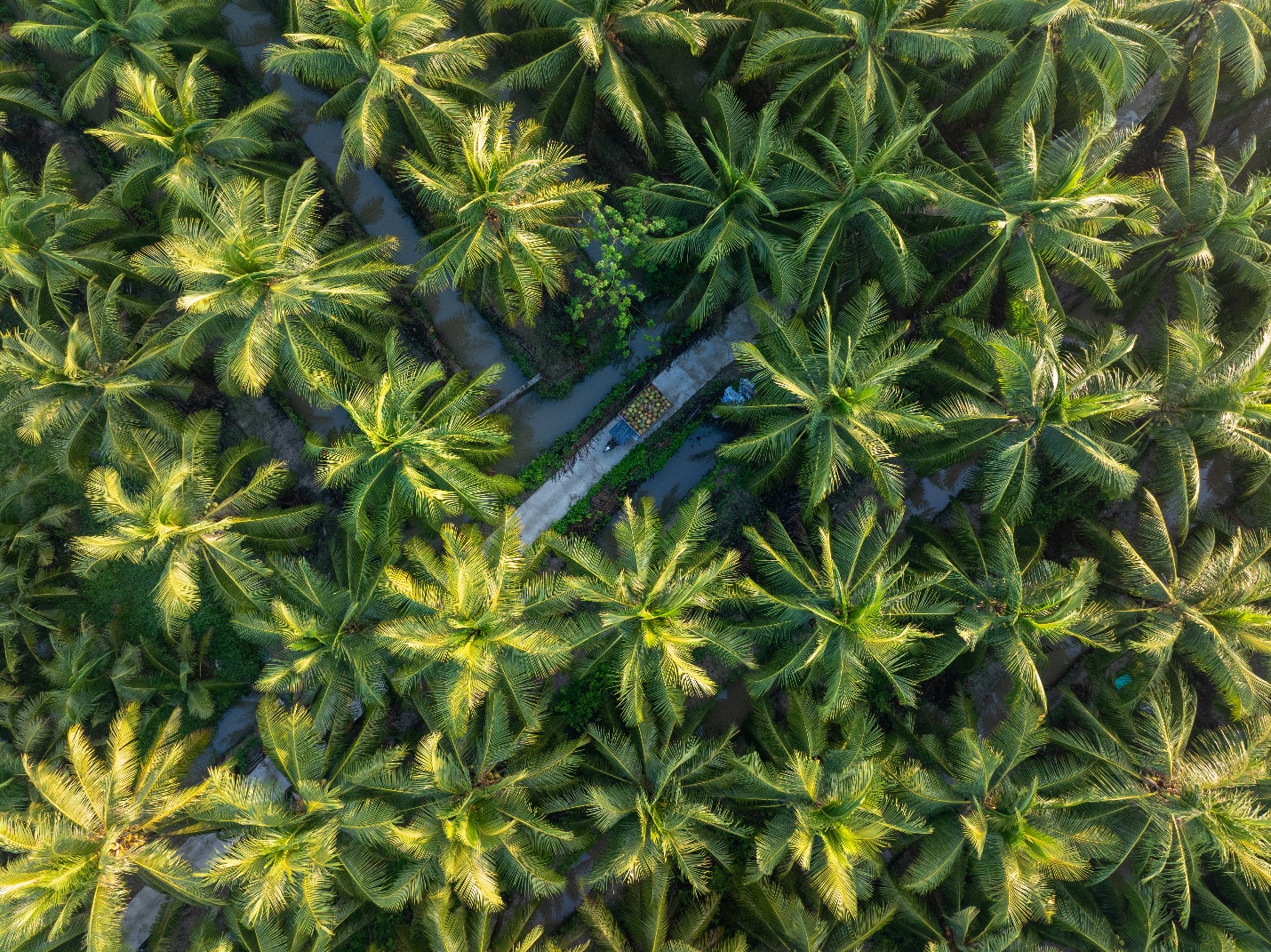 AgriS (SBT) mở rộng động lực tăng trưởng ngo&agrave;i mảng đường- Ảnh 3.