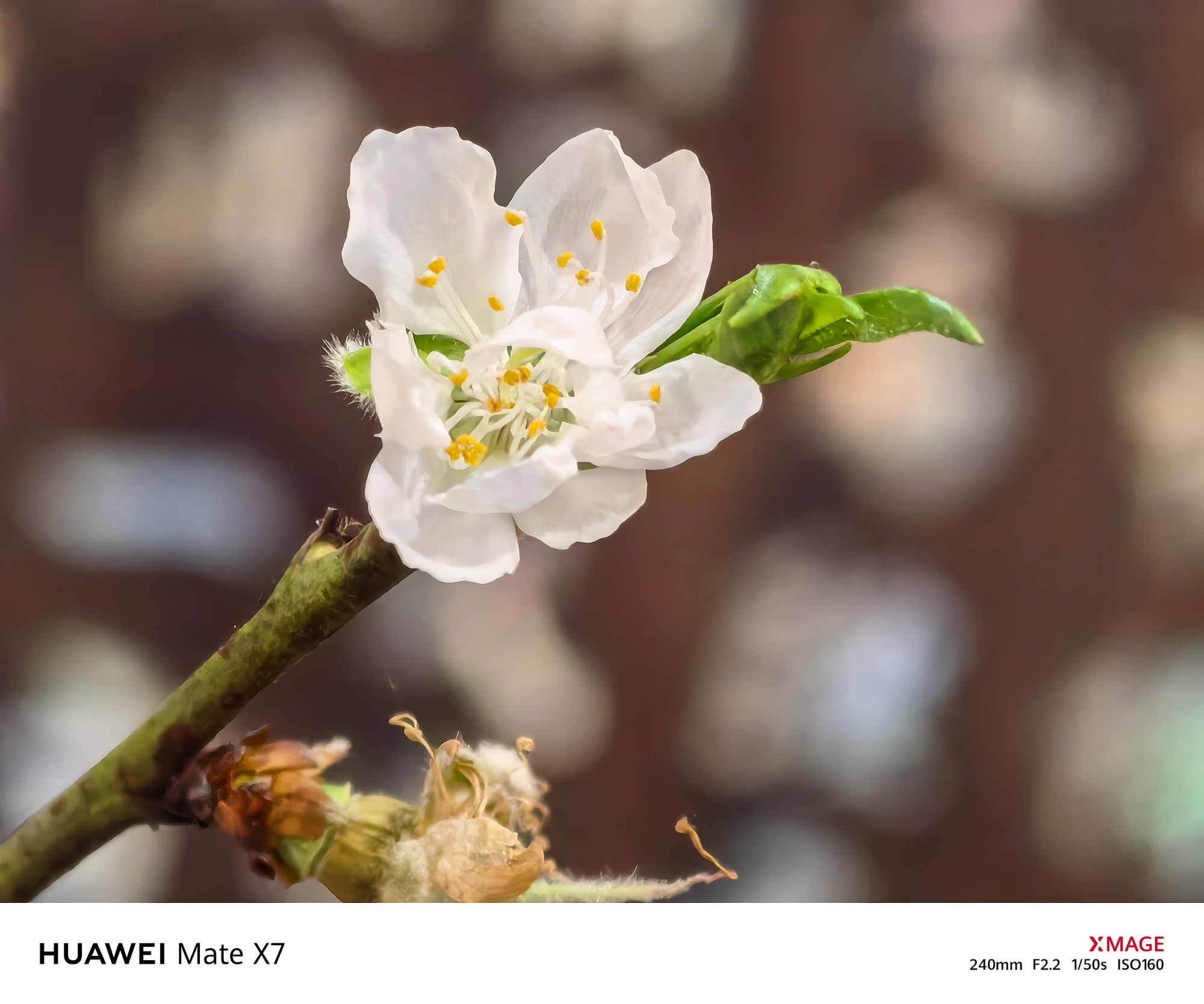 HUAWEI Mate X7: Lời khẳng định vị thế trong thế giới smartphone gập- Ảnh 5.