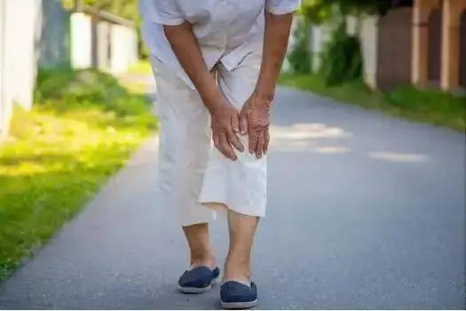 Trứng đứng thứ 5 trong số c&aacute;c loại thực phẩm gi&agrave;u protein ph&ugrave; hợp nhất cho người cao tuổi, đứng đầu "m&oacute;n" m&agrave; hầu hết mọi người kh&ocirc;ng nghĩ tới- Ảnh 4.