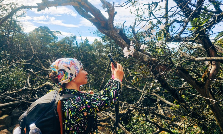 Ngắm biển m&acirc;y cuồn cuộn, n&uacute;i rừng nguy&ecirc;n sơ từ 'n&oacute;c nh&agrave;' Quảng Trị- Ảnh 7.