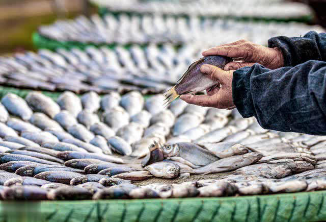 Mùa đông có 4 loại cá “dễ ngậm kim loại nặng” nên ăn ít, tiểu thương cảnh báo rẻ mấy cũng đừng mua- Ảnh 2. Mùa đông có 4 loại cá “dễ ngậm kim loại nặng” nên ăn ít, tiểu thương cảnh báo rẻ mấy cũng đừng mua- Ảnh 2.