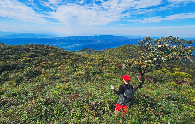 Ngắm biển m&acirc;y cuồn cuộn, n&uacute;i rừng nguy&ecirc;n sơ từ 'n&oacute;c nh&agrave;' Quảng Trị- Ảnh 8.