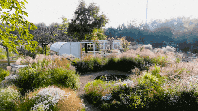 Gần 40 tuổi, người phụ nữ bỏ việc để thuê hơn 10.000m² đất hoang: 4 năm sau, nơi này thành khu vườn khiến nhiều người ao ước - Ảnh 2.