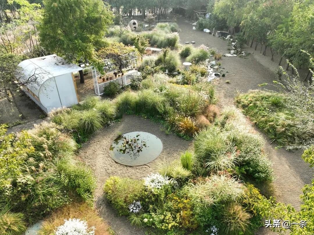 Gần 40 tuổi, người phụ nữ bỏ việc để thuê hơn 10.000m² đất hoang: 4 năm sau, nơi này thành khu vườn khiến nhiều người ao ước - Ảnh 11.