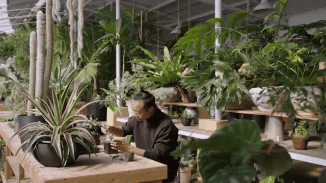 Gần 40 tuổi, người phụ nữ bỏ việc để thuê hơn 10.000m² đất hoang: 4 năm sau, nơi này thành khu vườn khiến nhiều người ao ước - Ảnh 16.