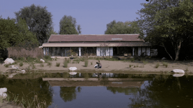 Gần 40 tuổi, người phụ nữ bỏ việc để thuê hơn 10.000m² đất hoang: 4 năm sau, nơi này thành khu vườn khiến nhiều người ao ước - Ảnh 17.
