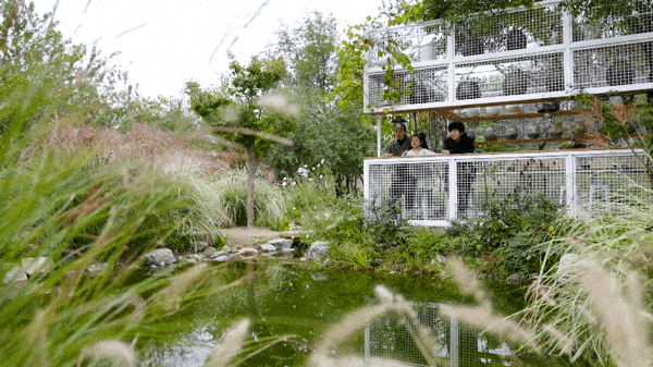 Gần 40 tuổi, người phụ nữ bỏ việc để thuê hơn 10.000m² đất hoang: 4 năm sau, nơi này thành khu vườn khiến nhiều người ao ước - Ảnh 5.
