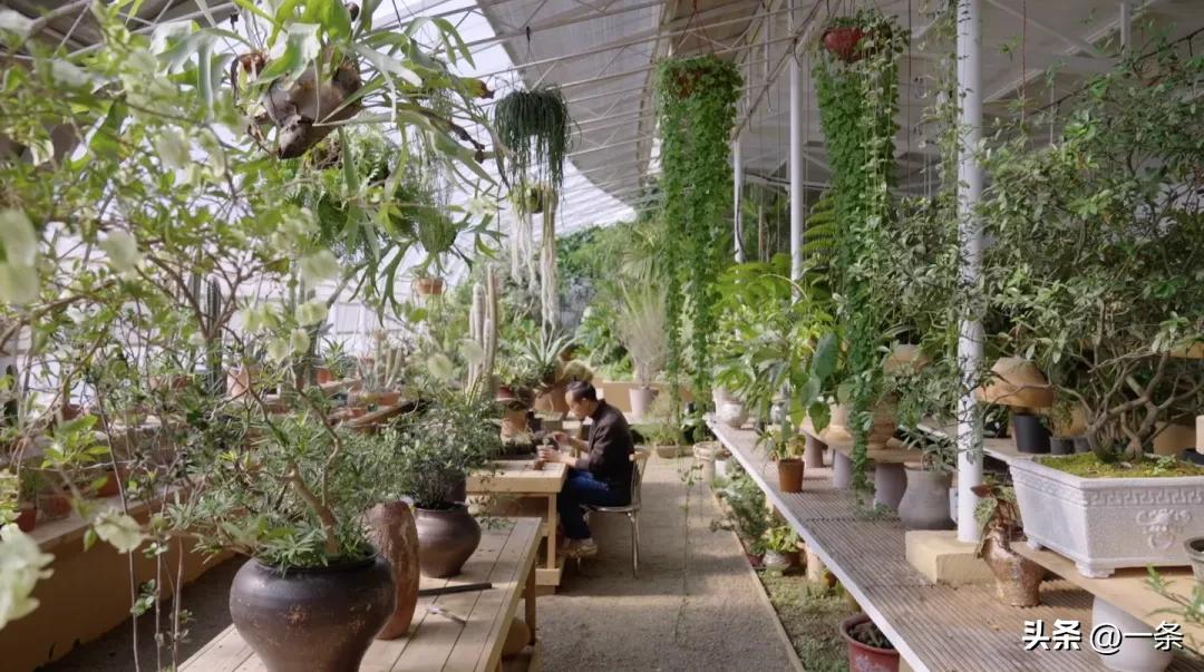 Gần 40 tuổi, người phụ nữ bỏ việc để thuê hơn 10.000m² đất hoang: 4 năm sau, nơi này thành khu vườn khiến nhiều người ao ước - Ảnh 3.