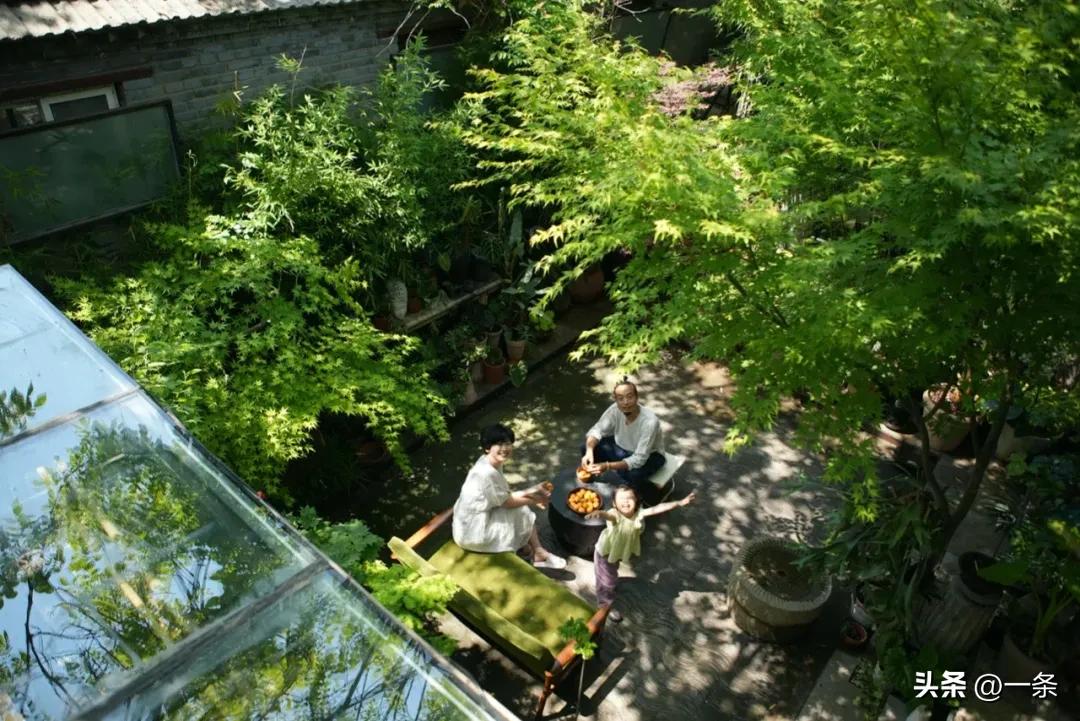 Gần 40 tuổi, người phụ nữ bỏ việc để thuê hơn 10.000m² đất hoang: 4 năm sau, nơi này thành khu vườn khiến nhiều người ao ước - Ảnh 8.