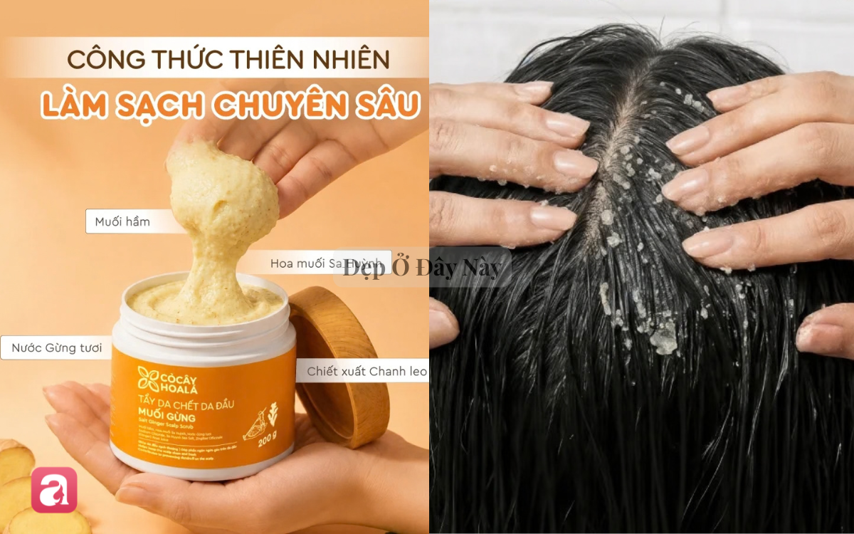 5 món dưỡng tóc "đáng giá từng đồng" giúp tóc dày mượt, chắc khỏe và trông bồng bềnh hơn - Ảnh 2.