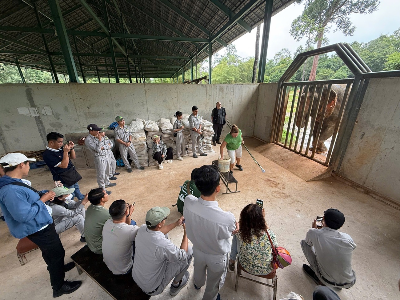 Vinpearl Safari: Hành trình hơn một thập kỷ vươn tầm bảo tồn quốc tế- Ảnh 8.