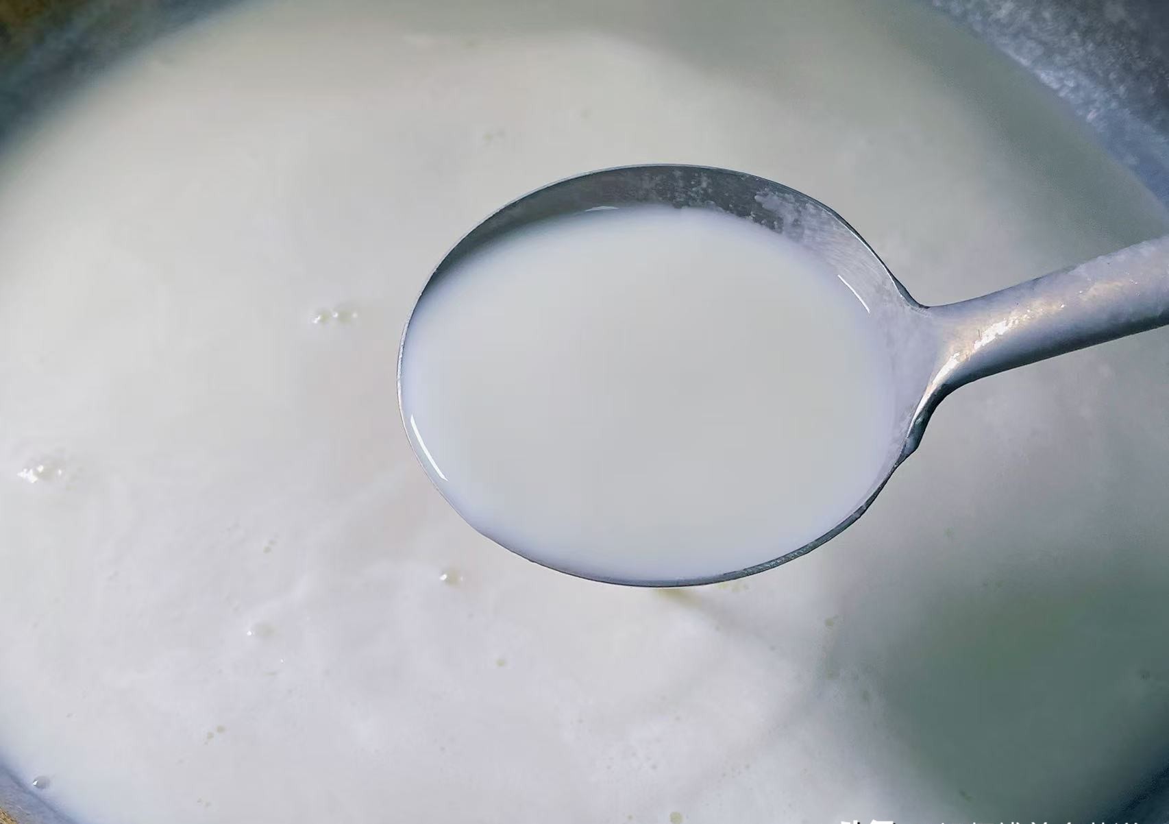 Nấu sữa đậu nành, 99% mọi người đều mắc sai lầm lớn: Thêm 1 bước và 1 nguyên liệu nữa sữa đậu nành thơm ngon gấp bội- Ảnh 8.