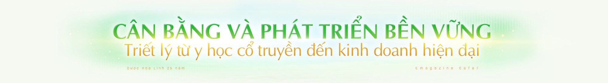 Triết lý cân bằng: Từ Đông y đến kinh doanh bền vững- Ảnh 1.