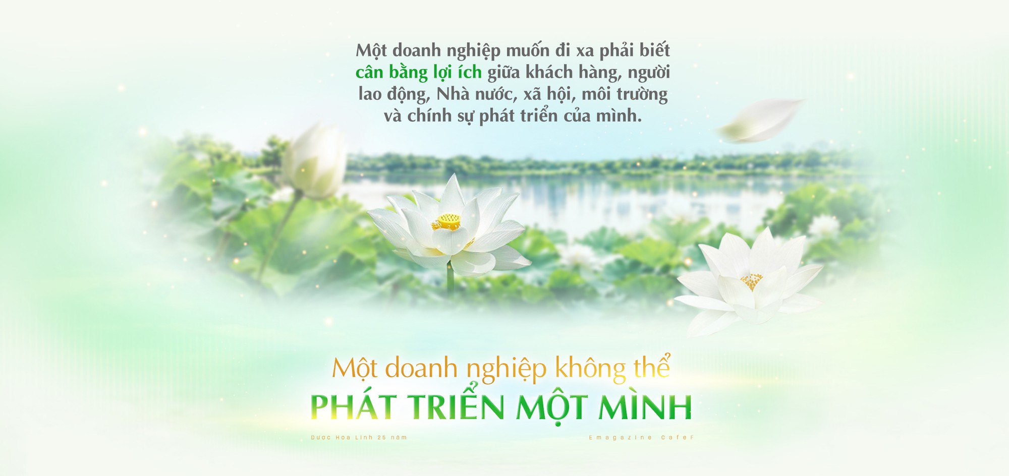 Triết lý cân bằng: Từ Đông y đến kinh doanh bền vững- Ảnh 2.
