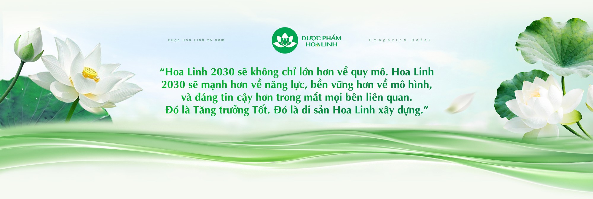 Triết lý cân bằng: Từ Đông y đến kinh doanh bền vững- Ảnh 6.