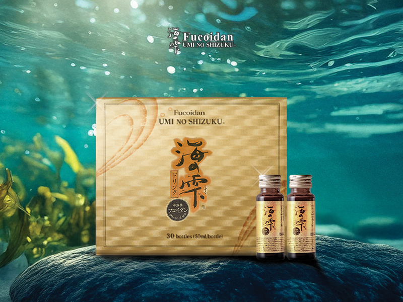 Tiêu chí lựa chọn Fucoidan chất lượng - Ảnh 2.