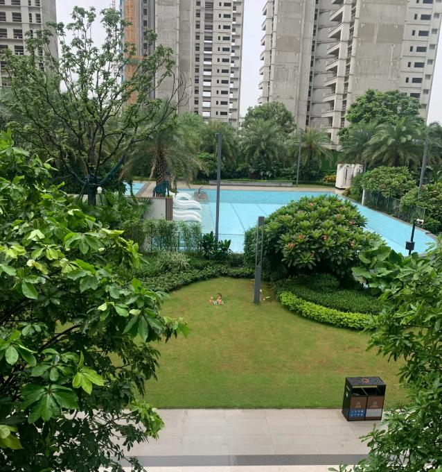 Từ tầng 33 chuyển xuống tầng 4, tôi mới hiểu vì sao nhiều người không còn mê nhà thật cao: 4 thay đổi thấy rõ sau khi chuyển - Ảnh 4.