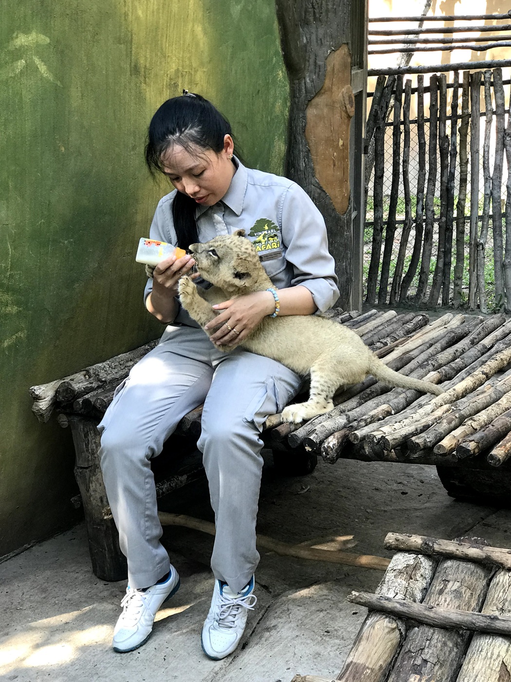 Những ca kh&oacute; ở &ldquo;kỳ quan hoang d&atilde;&rdquo; hơn 500 ha Vinpearl Safari Ph&uacute; Quốc - Ảnh 4.