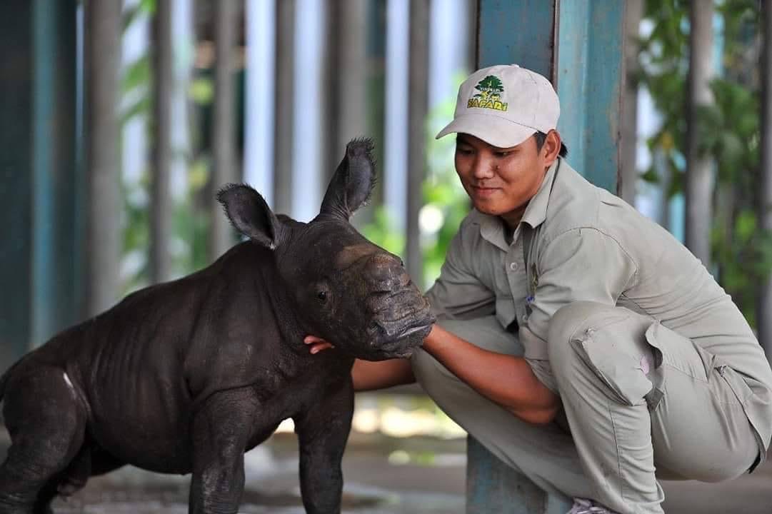 Những ca kh&oacute; ở &ldquo;kỳ quan hoang d&atilde;&rdquo; hơn 500 ha Vinpearl Safari Ph&uacute; Quốc - Ảnh 6.