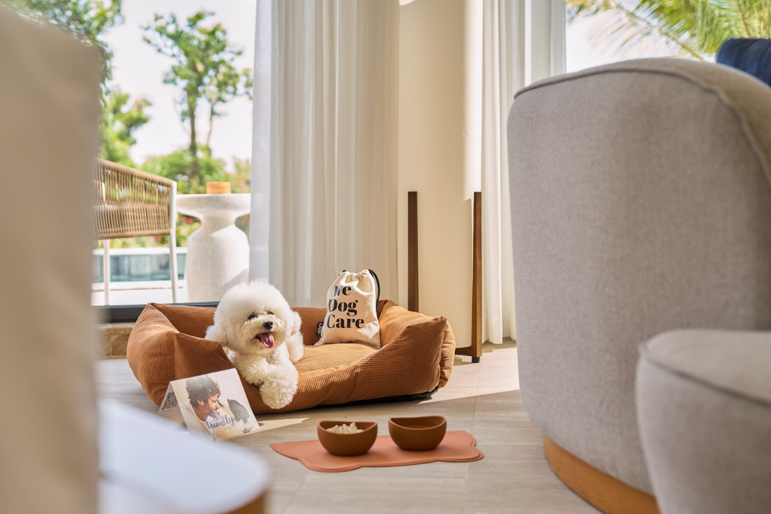Meliá Hotels International mở rộng danh mục tại Việt Nam với Meliá Serenity Cam Ranh - Ảnh 1.