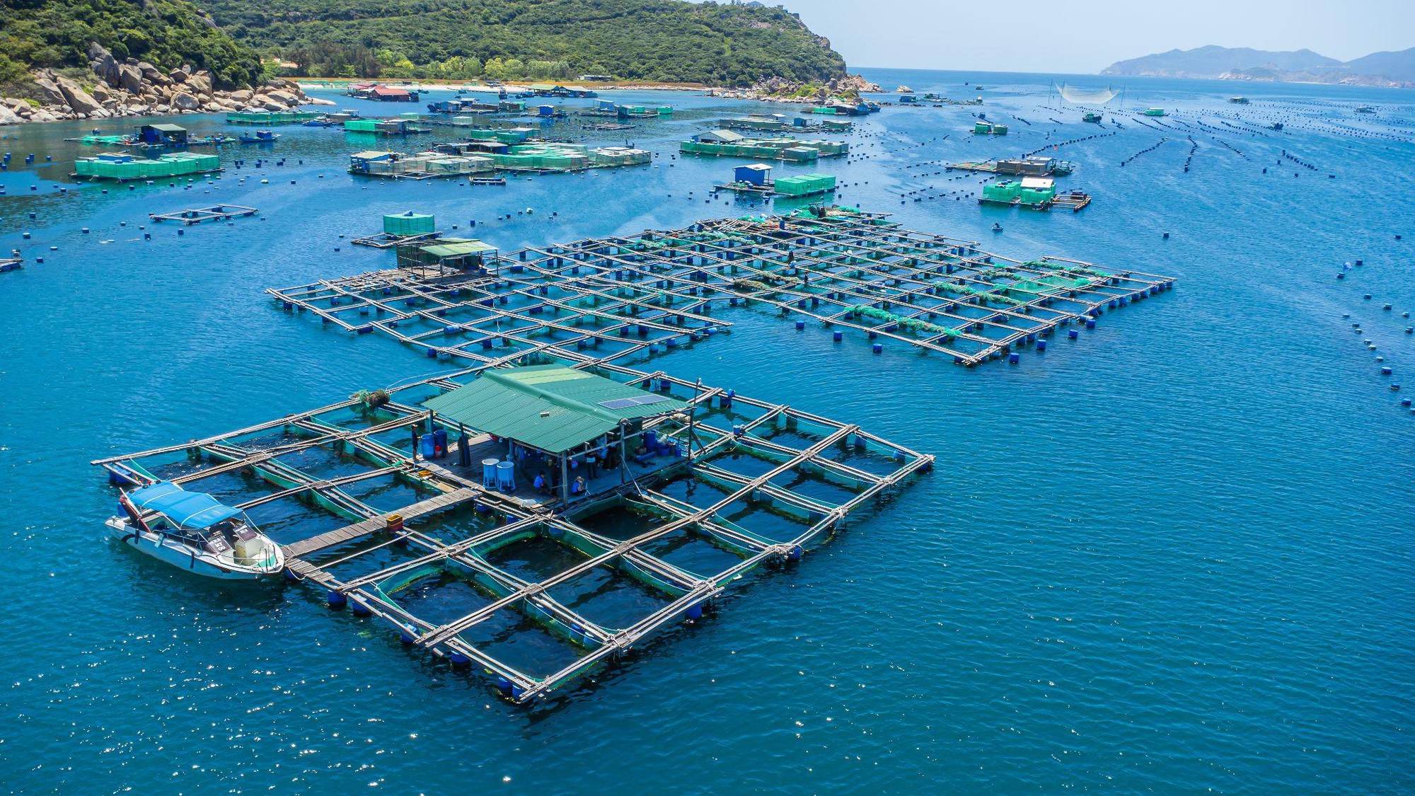 KLC Seafood đưa hải sản tươi sống Việt Nam đến CFSE 2026 tại Trung Quốc - Ảnh 2.