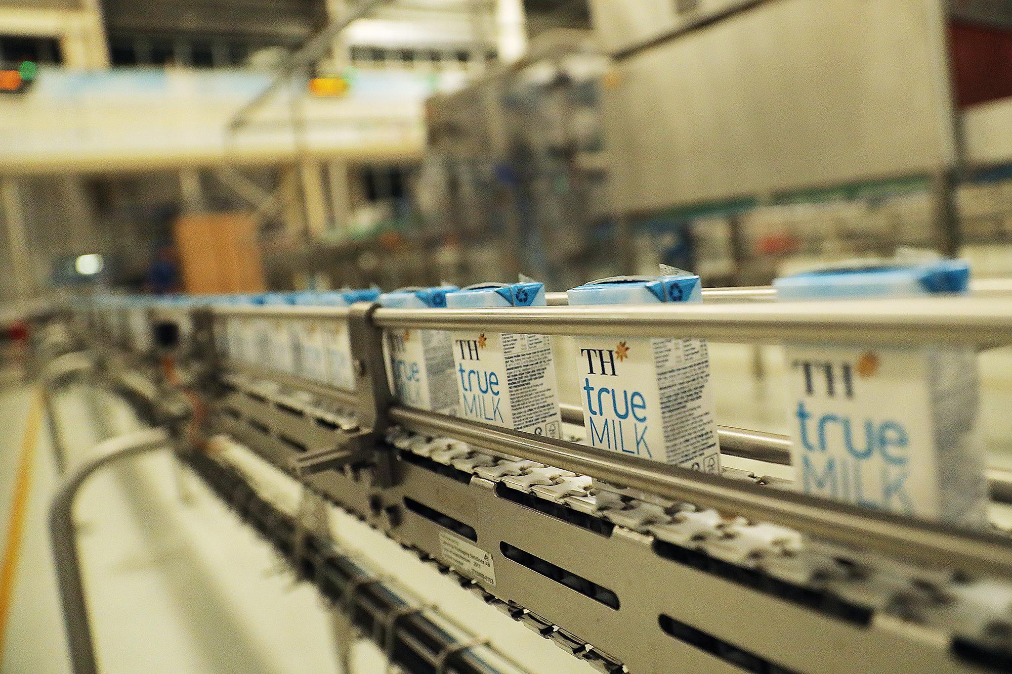 Từ cánh đồng hướng dương 150 ha đến kỷ lục thế giới năm 2026 của TH true MILK - Ảnh 3.