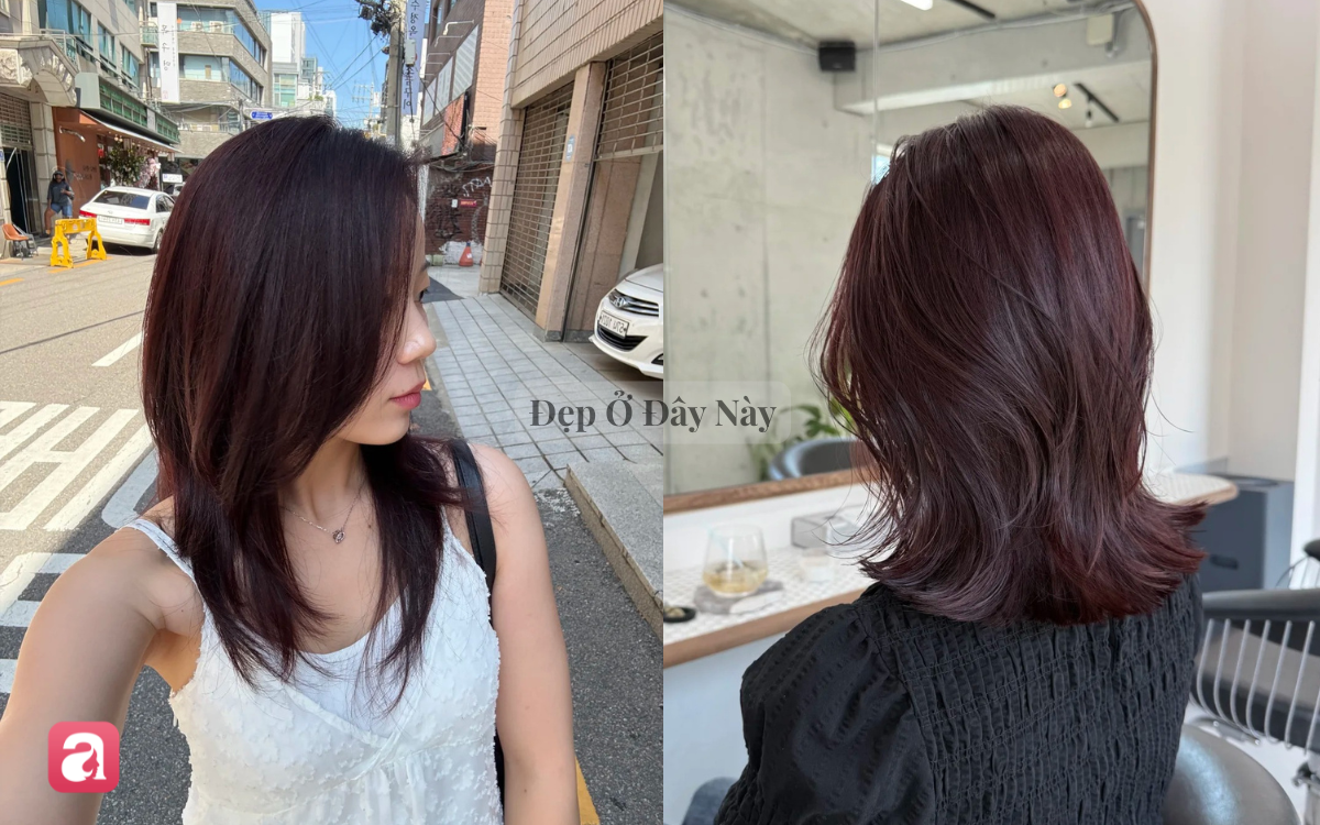 Màu tóc đáng thử nhất mùa lạnh năm nay, giúp phụ nữ trung niên trông trẻ trung hơn- Ảnh 3.