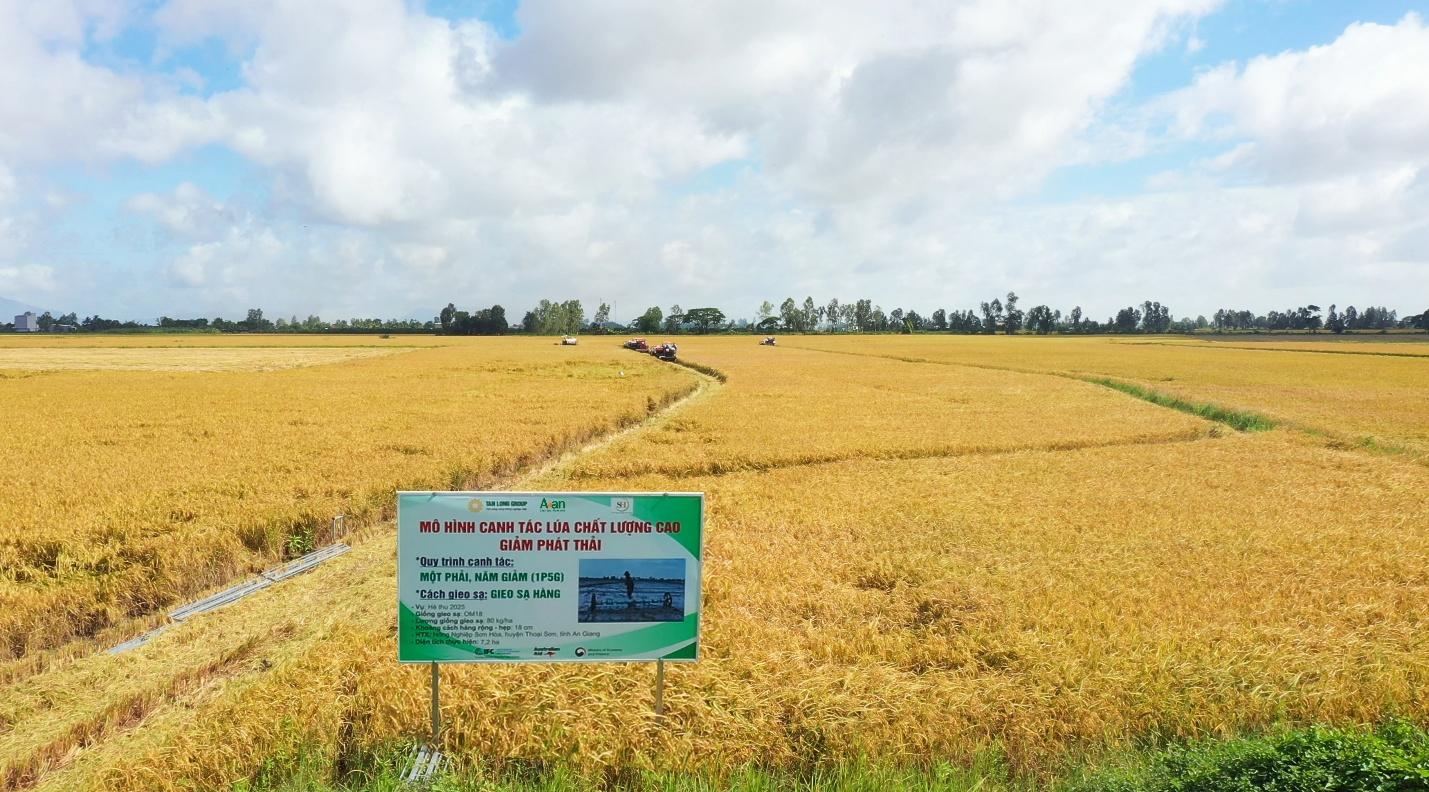 Gạo Aan lần thứ 3 liên tiếp đạt thương hiệu quốc gia Việt Nam- Ảnh 2.