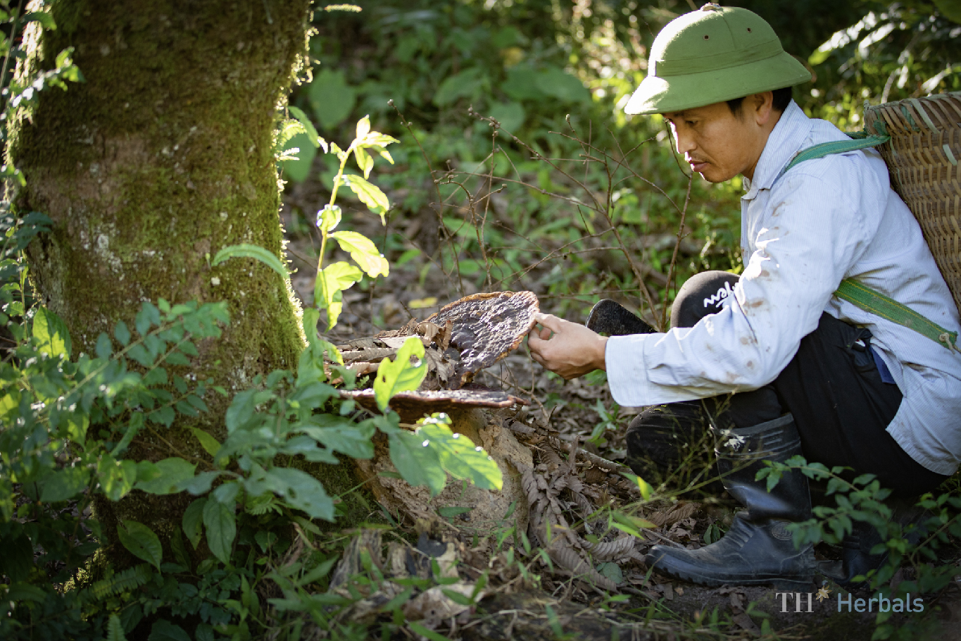 Anh h&ugrave;ng Lao động Th&aacute;i Hương: Định vị Thương hiệu quốc gia bằng tr&iacute; tuệ, c&ocirc;ng nghệ cao v&agrave; ph&aacute;t triển xanh- Ảnh 6.