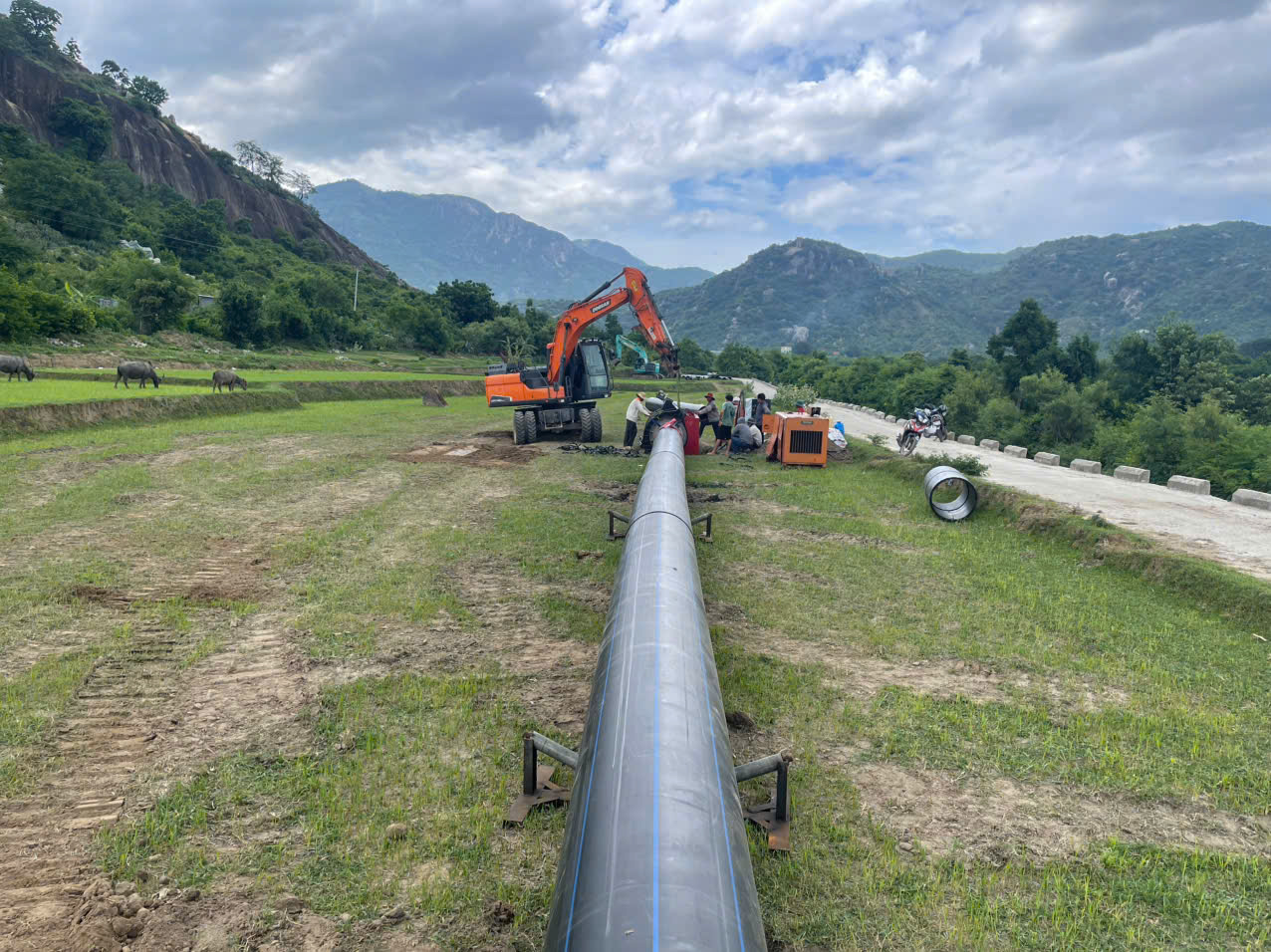 Nhựa Đồng Nai ba kỳ li&ecirc;n tiếp đạt Thương hiệu Quốc gia, tiếp nối 50 năm ph&aacute;t triển - Ảnh 2.