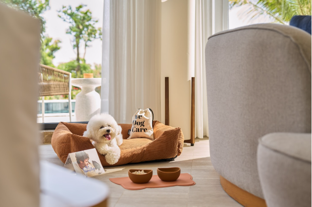 Kỳ nghỉ thảnh thơi trọn gói cho cả nhà và boss bốn chân tại Meliá Serenity Cam Ranh - Ảnh 3.