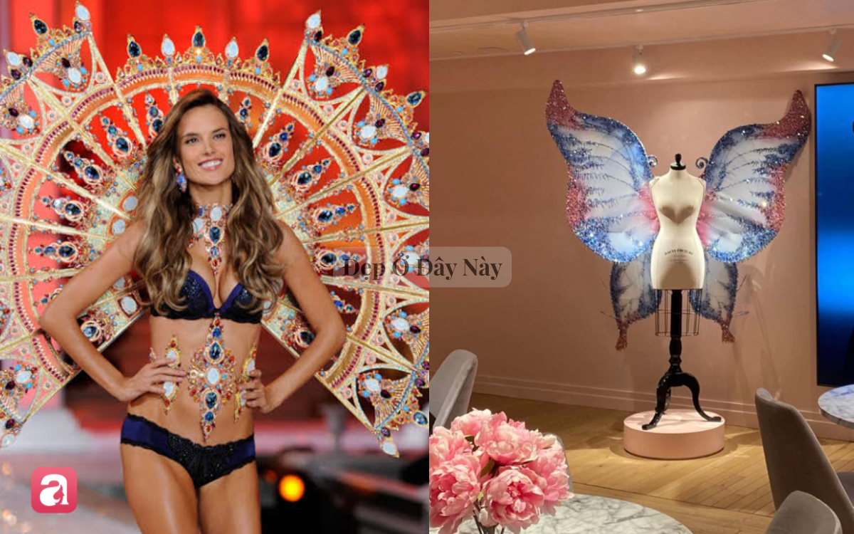 Sau show diễn, những đ&ocirc;i c&aacute;nh thi&ecirc;n thần của Victoria's Secret sẽ đi đ&acirc;u về đ&acirc;u?- Ảnh 1.