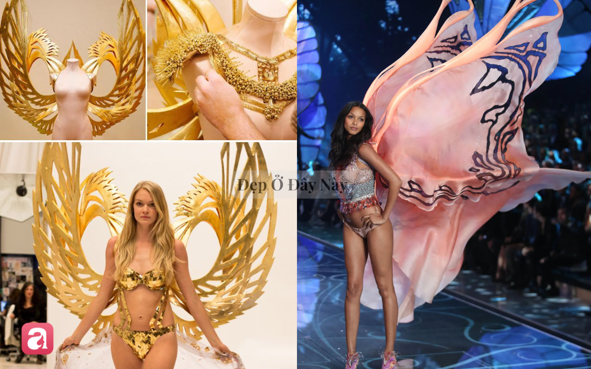Sau show diễn, những đ&ocirc;i c&aacute;nh thi&ecirc;n thần của Victoria's Secret sẽ đi đ&acirc;u về đ&acirc;u?- Ảnh 3.