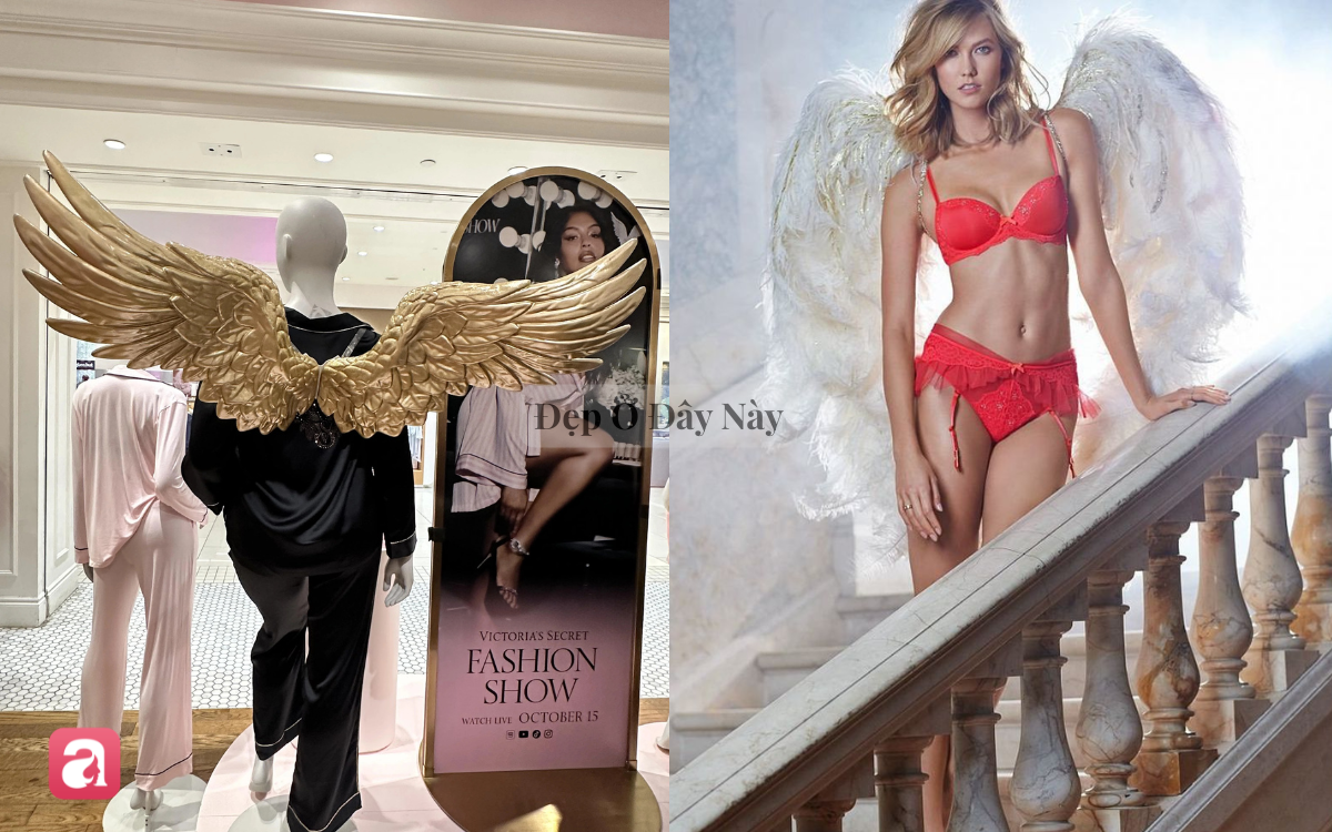 Sau show diễn, những đ&ocirc;i c&aacute;nh thi&ecirc;n thần của Victoria's Secret sẽ đi đ&acirc;u về đ&acirc;u?- Ảnh 6.