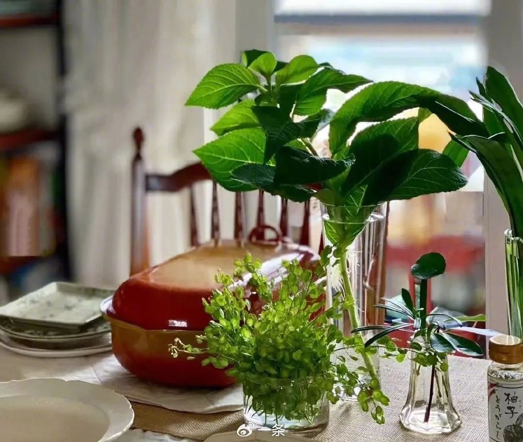 60 tuổi c&oacute; tiền tiết kiệm nhưng kh&ocirc;ng đầu tư, kh&ocirc;ng bảo hiểm: C&aacute;ch sống kh&ocirc;ng kế hoạch n&agrave;y liệu c&oacute; an to&agrave;n khi về gi&agrave;?- Ảnh 9.